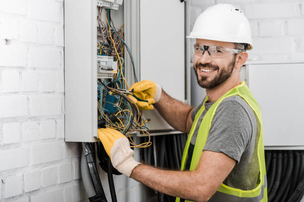 Best Electrical System Inspection  in Lawrencevle, IL